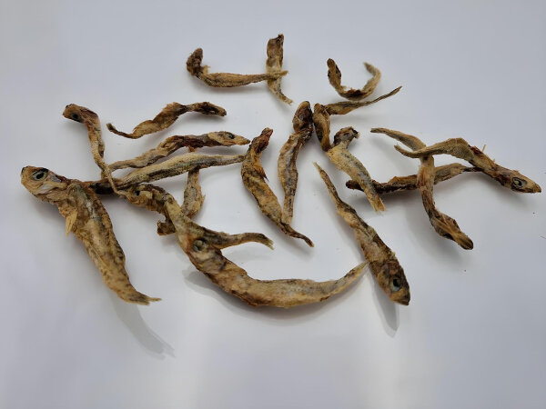 Dogfish Sprotte 200g