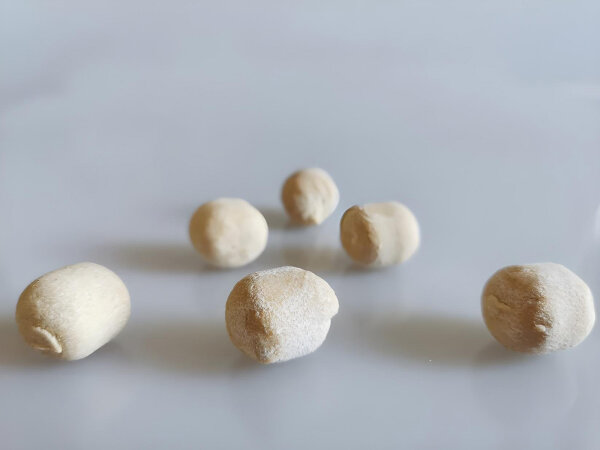 Kokoskugeln 100g