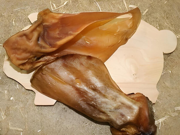 Rinderohren mit Muschelansatz, 5 Stück