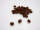 Trainingssnack-Insekten 100g